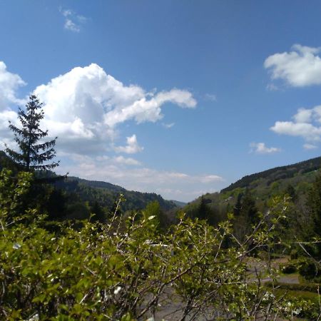 Le Relais Charraud Apartment Le Mont-Dore Luaran gambar