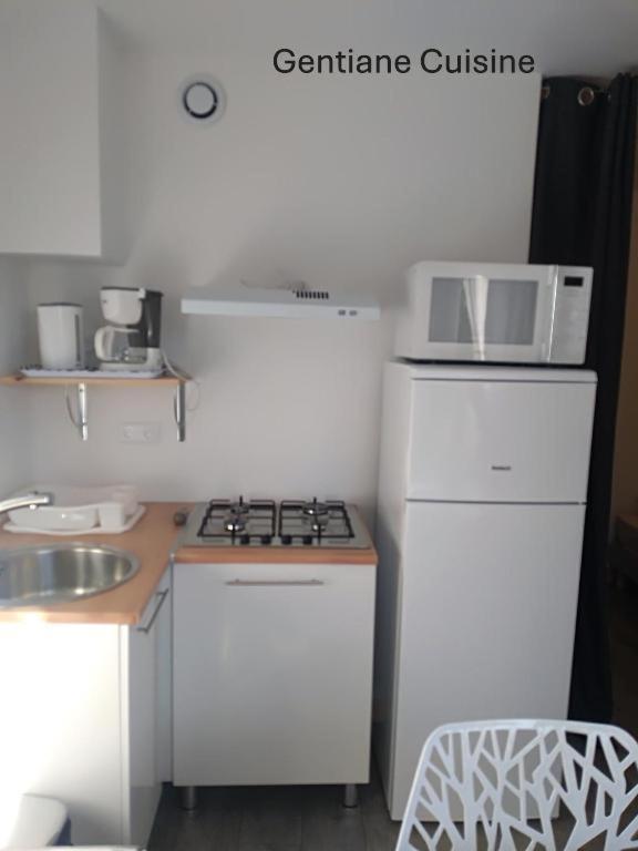 Le Relais Charraud Apartment Le Mont-Dore Luaran gambar