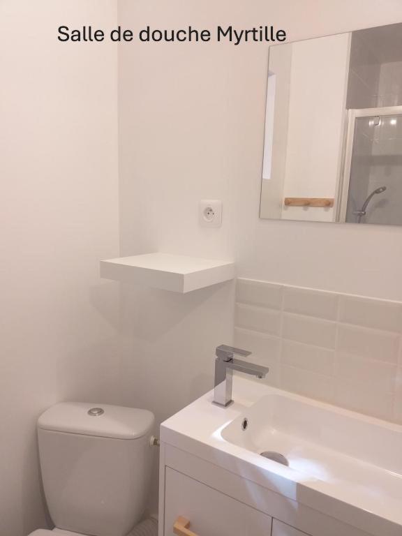 Le Relais Charraud Apartment Le Mont-Dore Luaran gambar