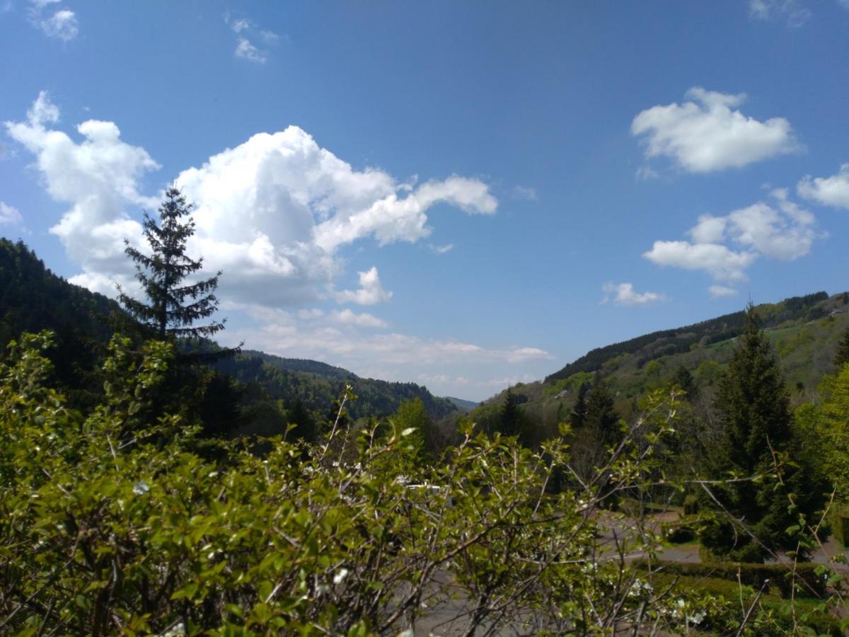 Le Relais Charraud Apartment Le Mont-Dore Luaran gambar